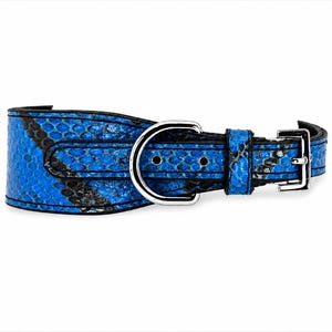 Könnte beinhalten: Ein breites Haustierhalsband mit einem leuchtend blauen und schwarzen Schlangenhautmuster. Das Halsband verfügt über einen polierten silberfarbenen D-Ring aus Metall zur Leinenbefestigung und eine passende Metallschnalle mit Dorn.