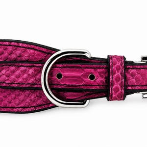 Genuine Python Snakeskin Leather Dog Collar, Handmade Luxury Pet Accessory, Gold Hardware
