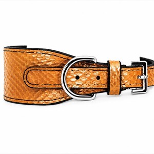 Genuine Python Snakeskin Leather Dog Collar, Handmade Luxury Pet Accessory, Gold Hardware