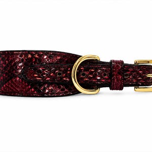 Collar para perro de auténtica piel de pitón, accesorio de lujo hecho a mano para mascotas, herrajes dorados.