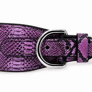 Collar para perro de auténtica piel de pitón, accesorio de lujo hecho a mano para mascotas, herrajes dorados.