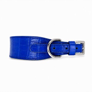 Könnte beinhalten: Ein breites, leuchtend blaues Haustierhalsband mit einer strukturierten Krokodilprägung. Das Halsband verfügt über einen polierten silberfarbenen D-Ring zur Befestigung der Leine sowie eine passende silberne Schnalle mit blauer Schlaufe.