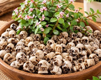 May include: A round wooden bowl filled with numerous small, off-white skull-shaped beads and a green succulent plant with tiny pink flowers. The skulls feature detailed eye sockets, nasal cavities, and teeth, arranged densely within the bowl.