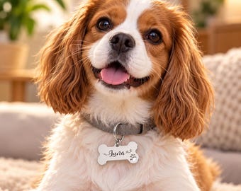 May include: A Cavalier King Charles Spaniel with brown and white fur wearing a grey collar and a silver bone-shaped pet tag. The tag is engraved with the name Luna in a cursive script, accompanied by small decorative heart and paw print icons.