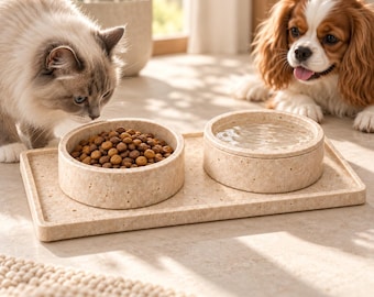 Natural Travertine Pet Feeding Station, Dog Cat Bowl Set with Tray and Lid