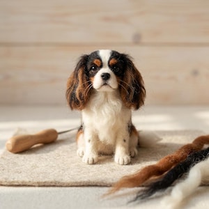 Può includere: Una statuetta di Cavalier King Charles Spaniel realizzata con feltro ad ago, con pelo nero, bianco e marrone chiaro. Il cane è seduto con orecchie lunghe e ondulate, occhi scuri e una macchia bianca sul muso. Presenti un utensile e lana sfusa.