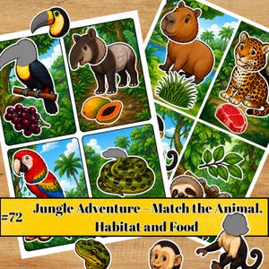 Op de afbeelding: Een Jungle Adventure educatief spelblad met illustraties van een toekan, tapir, capibara, jaguar, ara, slang, luiaard en aap met diverse voedingsmiddelen en junglehabitats. De tekst luidt: #72 Jungle Adventure - Match the Animal, Habitat and Food.
