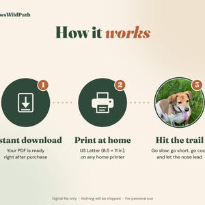 May include: An instructional graphic titled PawsWildPath How it works with three steps: 1. Instant download, 2. Print at home on US Letter 8.5 x 11 inch paper, and 3. Hit the trail featuring a photo of a brown and white dog outdoors.
