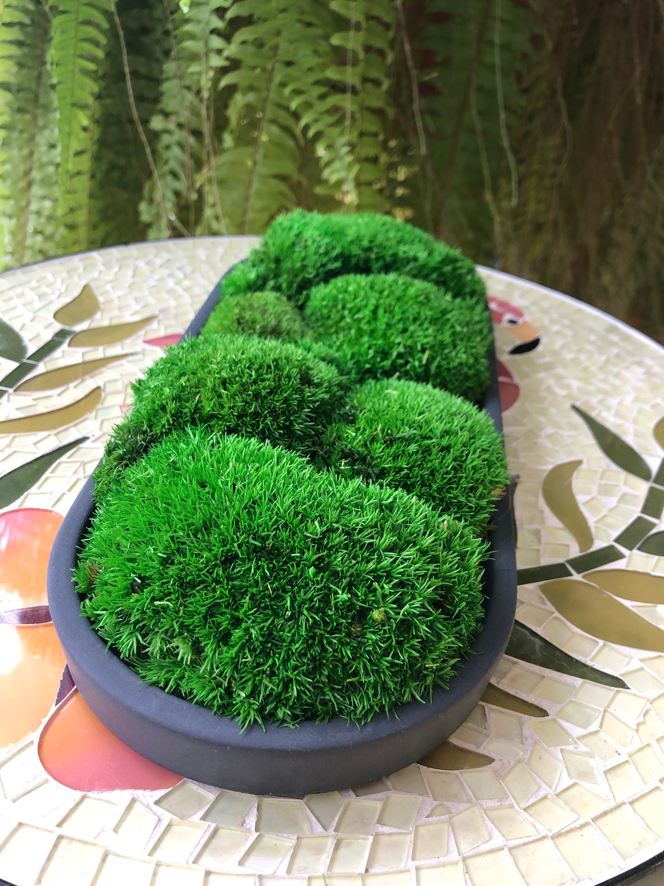 Macomine Design Moss Bowl |12 Diameter | Artificial | Hand-Painted Cement  Bowl | Home Décor