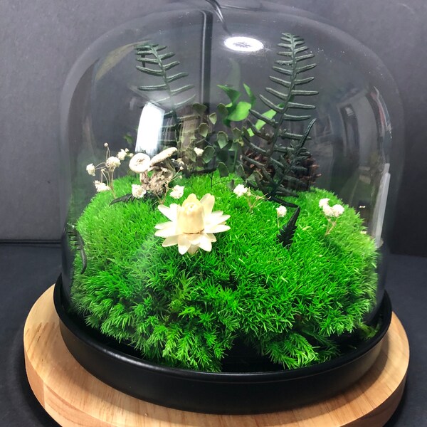 Fake Plant Terrarium Etsy
