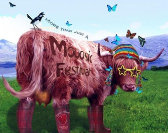 Belladrum . Bella the Belladrum coo