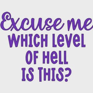 May include: A graphic design featuring the purple text Excuse me, WHICH LEVEL OF HELL IS THIS? The first line is written in a cursive script font, while the remaining three lines are displayed in a bold, sans-serif, uppercase block font.
