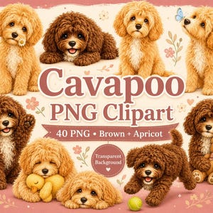 Cavapoo Clipart PNG-paket: 40 bruna aprikosfärgade valpar (digital nedladdning)