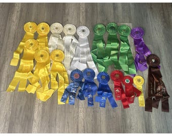 Schleifen, 4-H-Club-Rosetten, Kunsthandwerk, Reitsport, Tennessee, Shelbyville, Konvolut von 19 Stück