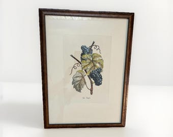 Vintage French Vitis Vinifera Grapes Print Wood Frame Botanical Art 18x13.5