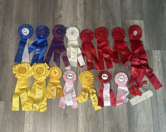 Konvolut aus den 2000er Jahren: 15 Schleifen und Rosetten für Pferdeshows, hergestellt von Reitvereinen in Tennessee (TN), gelb, Jahrtausendwende.
