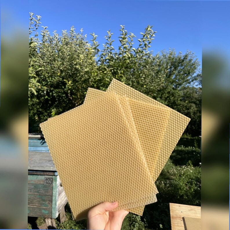 Beeswax Sheets for Candle Rolling 24x20cm | 100% Pure Wax From Our Own Hives | Small Candles, Beekeeping, Free Shipping image 7