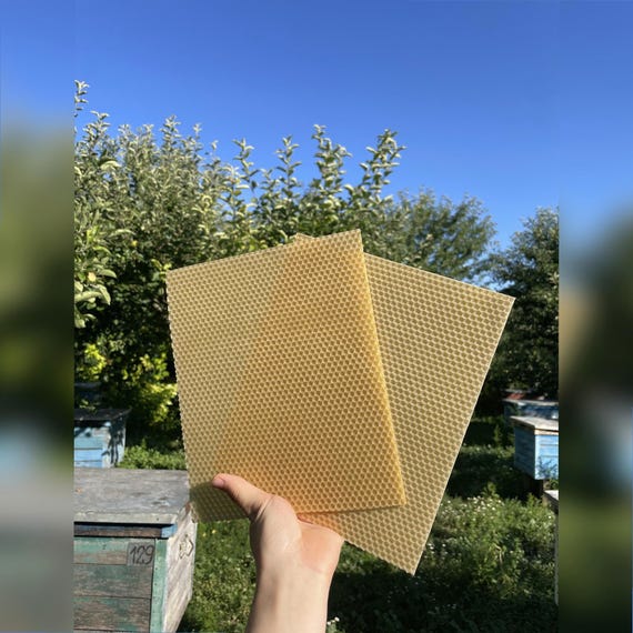 Beeswax Sheets for Candle Rolling 24x20cm | 100% Pure Wax From Our Own Hives | Small Candles, Beekeeping, Free Shipping