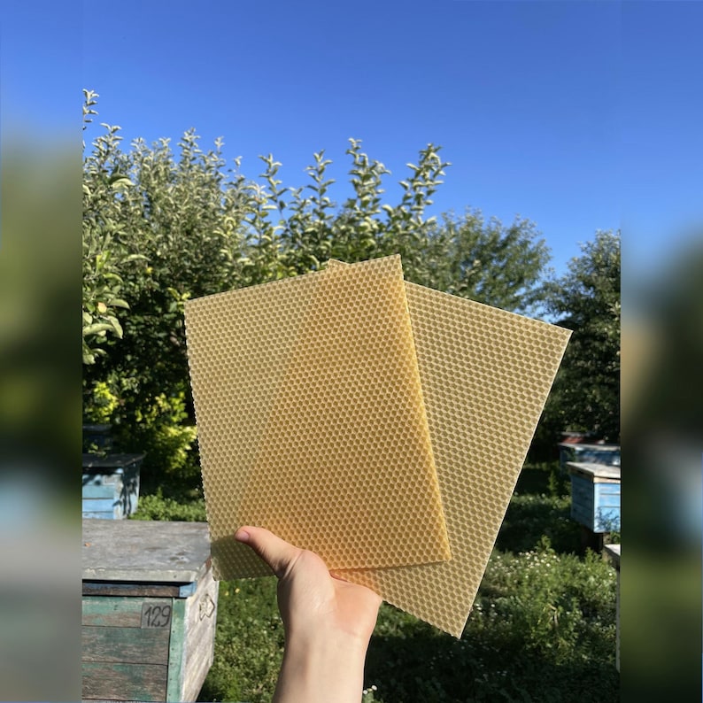 Beeswax Sheets for Candle Rolling 24x20cm | 100% Pure Wax From Our Own Hives | Small Candles, Beekeeping, Free Shipping image 1