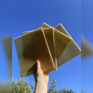 Beeswax Sheets for Candle Rolling 24x20cm | 100% Pure Wax From Our Own Hives | Small Candles, Beekeeping, Free Shipping image 5