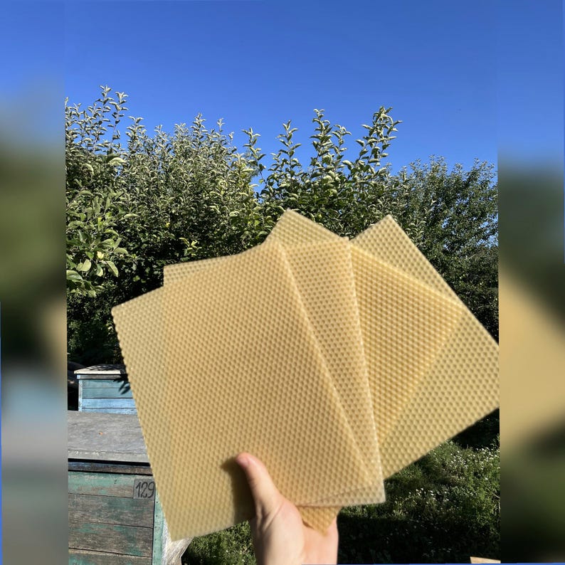 Beeswax Sheets for Candle Rolling 24x20cm | 100% Pure Wax From Our Own Hives | Small Candles, Beekeeping, Free Shipping image 6