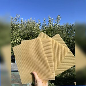 Beeswax Sheets for Candle Rolling 24x20cm | 100% Pure Wax From Our Own Hives | Small Candles, Beekeeping, Free Shipping image 9