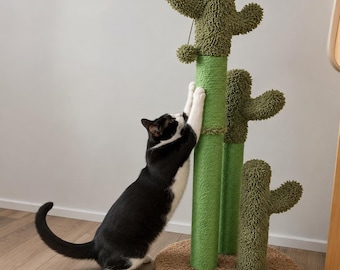 Cactus krabpaal voor binnenkatten, hoge sisal krabpaal met interactieve bungelende bal en standaard.