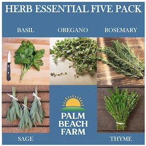 May include: A Herb Essential Five Pack display featuring fresh basil, oregano, rosemary, sage, and thyme. The image includes a small knife, white string ties, and the Palm Beach Farm logo on a blue background with white text labels for each herb.