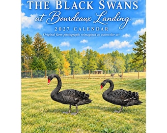 2027 Black Swan Wall Calendar, Watercolor Farm Art, Swan Lover Gift