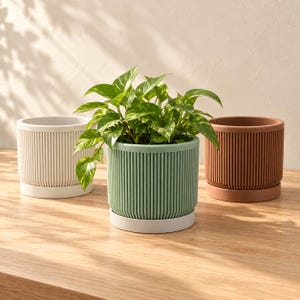 May include: Three cylindrical plant pots with vertical ribbed textures and matching saucers. One pot is white, one is sage green, and one is terracotta brown. A green leafy plant is potted inside the central sage green container.