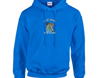 Lady Liberty Hoodie | I Can't Watch Wake Me When It's Over | Political Sweatshirt | Protest Hoodie Unisex S-2XL
