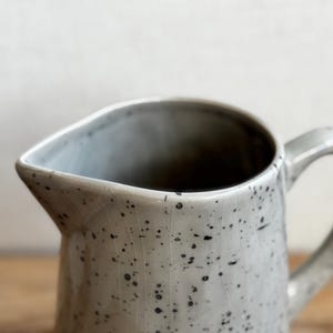 May include: A speckled, off-white ceramic pitcher with a curved handle and a pouring spout. The pitcher has a textured surface with dark gray speckles. The interior is dark. The pitcher is likely used for serving beverages.