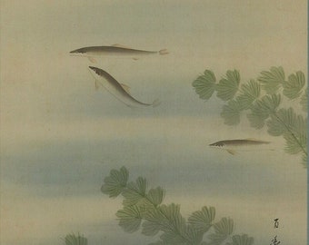 Vintage Japanese Hanging Scroll Painting – Flower and Fish, Kakejiku Kakemono, Traditional Asian Art, R501061