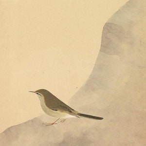 Vintage Japanese Wall Hanging Decor,Antique Japanese Painting,Japanese Scroll,Kakemono,Kakejiku,Hanging Scroll Painting,Bird Painting,R7162