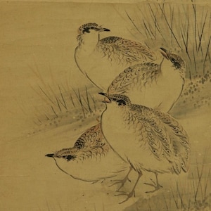 Antieke Japanse hangende rol, kwartels, vogels en bloemen schilderij Aziatische stijl muurdecoratie Literatuur inktkunst, Japans antiek