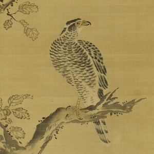 Antique Japanese Art Hanging Scroll Painting,hawk,japanese