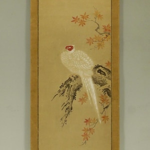 Antieke Kano School Japanse schilderkunst, witte fazant, esdoornbladeren, rol Edo-periode R8231