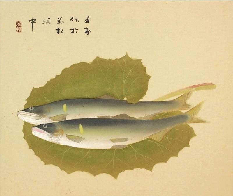 Vintage Japanese Hanging Scroll Ayu Sweetfish on Lotus Leaves