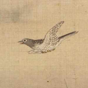 May include: A detailed illustration of a bird in flight, rendered in shades of gray and white against a beige background. The bird's wings are outstretched, showcasing intricate feather details. The artwork has a vintage, hand-painted aesthetic.