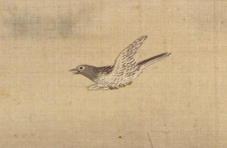 May include: A detailed illustration of a bird in flight, rendered in shades of gray and white against a beige background. The bird's wings are outstretched, showcasing intricate feather details. The artwork has a vintage, hand-painted aesthetic.