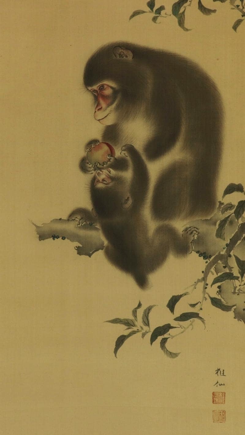 郎世宁 猿図 掛け軸｜三尺中堂｜十二生肖・申｜表装済み 江戸時代 日本画 掛け軸 R7784 母子猿図 アンティーク - Etsy 日本