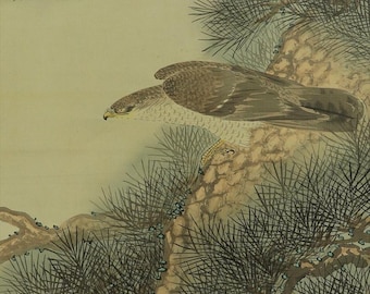 Vintage Japanese Wall Hanging Decor,Wall Art,Bird and Flower,Hawk in Great Pine,Japanese Scroll Painting Hawk,Falcon Scroll Painting,R72211