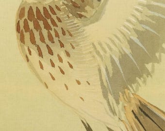 Vintage Japanese Hanging Scroll Painting Flying Bird Over Bush