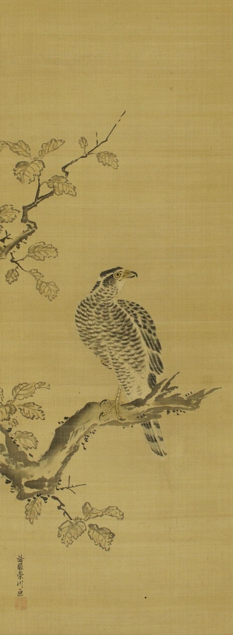 Antique Japanese Art Hanging Scroll Painting,hawk,japanese