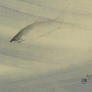 Vintage Japanese Wall Hanging Decor,Hanging Scroll Painting,Swimming Fish,Fish Painting,Japanese Art,Hanging Scroll Painting,Kakejiku,R75221