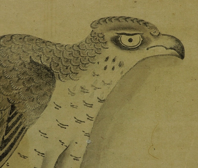 Antique Japanese Wall Hanging Decor,hawk Painting,falconry