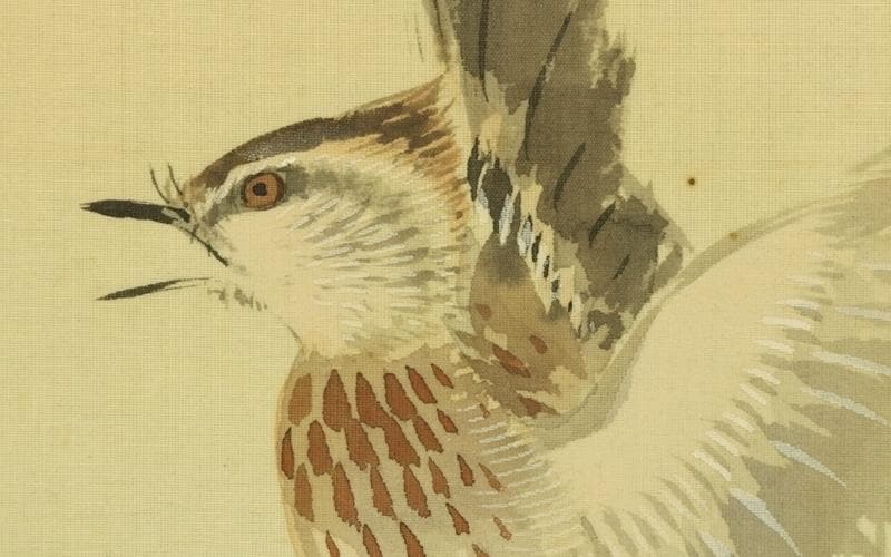 Vintage Japanese Hanging Scroll Painting Flying Bird Over Bush