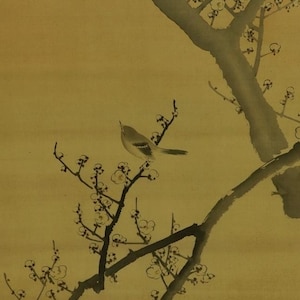 Antique Japanese Wall Hanging Scroll Painting,Bird and Flower Painting,Antique Scroll,Plum Blossoms,Ume Plum Blossom Painting Scroll,R7851