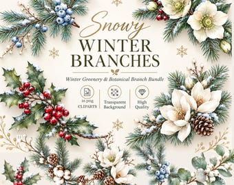 雪に覆われた冬の枝のPNGバンドル、冬の緑のクリップアート16点、松の枝のPNG、クリスマスの植物クリップアート、透明な水彩PNG