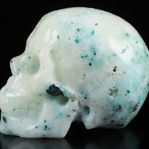 Phoenix Crystal Skull 2 Inch 96g Realistic Hand Carved Stone Chrysocolla Turquoise Malachite Quartz Natural Genuine Blue Green Aqua